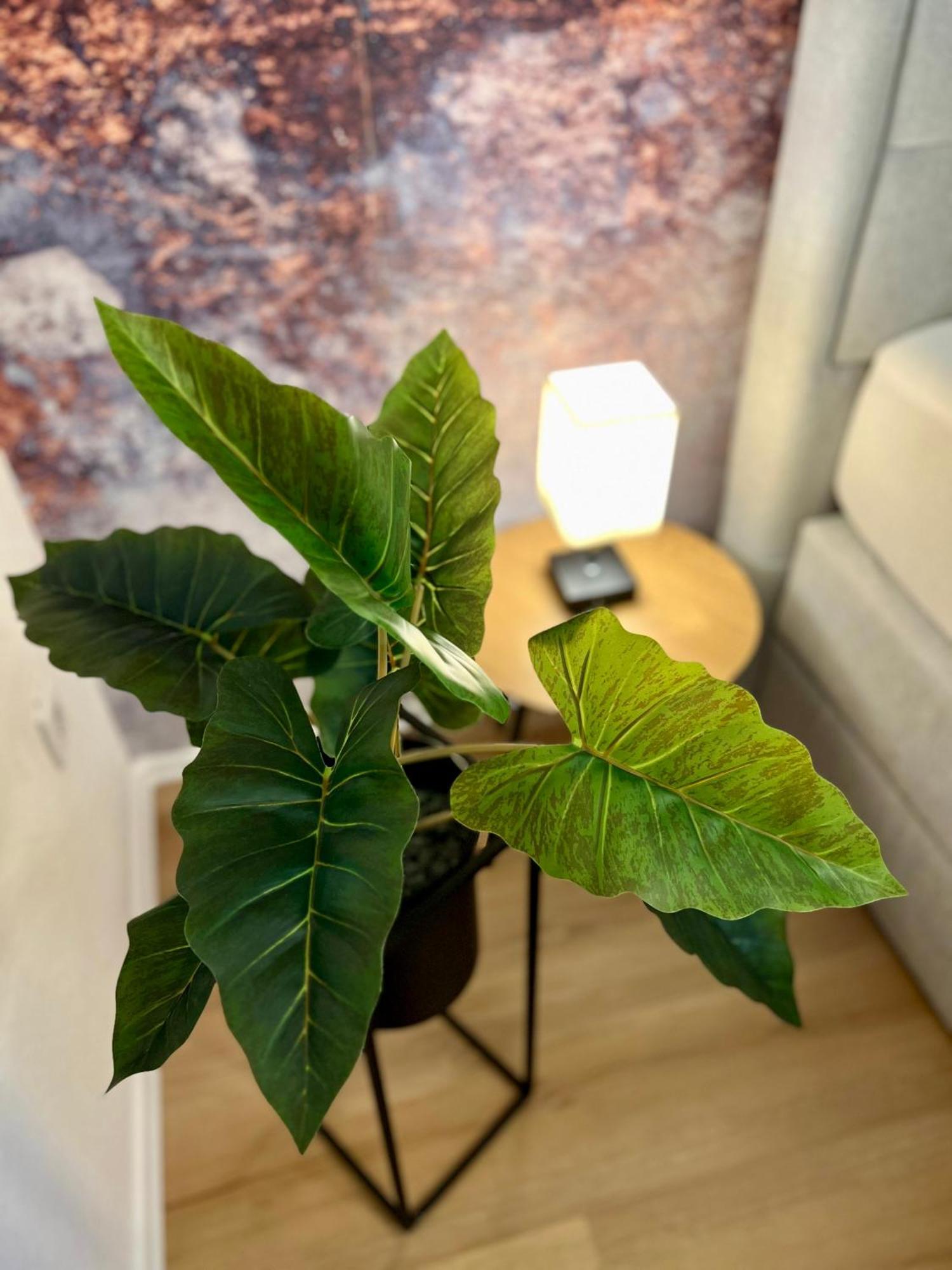 Main Cozy Casa Am Ringpark Free Parking Wurzburg